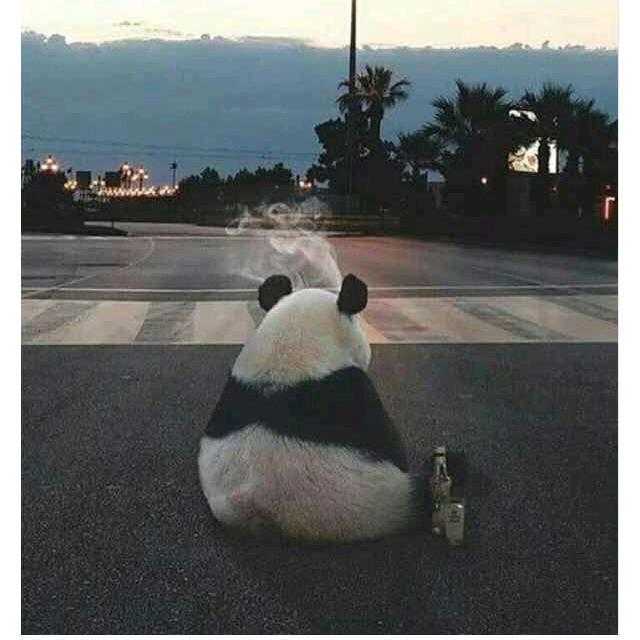 你不知道的大师