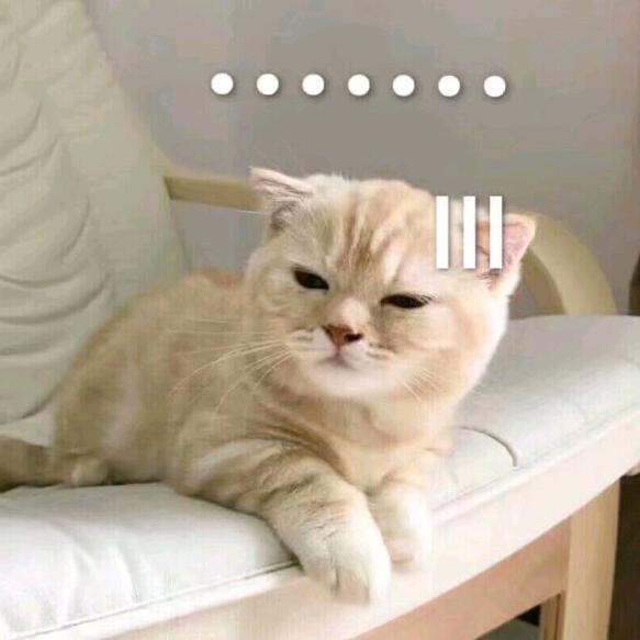 小脑腐
