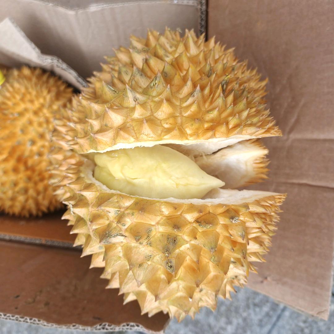 绿城诚信水果店