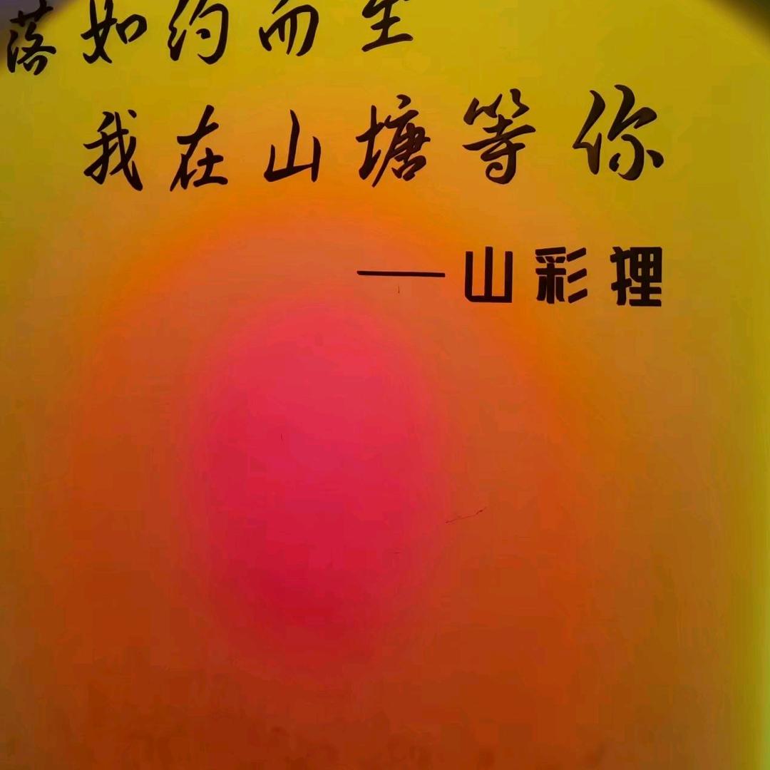 花啦o