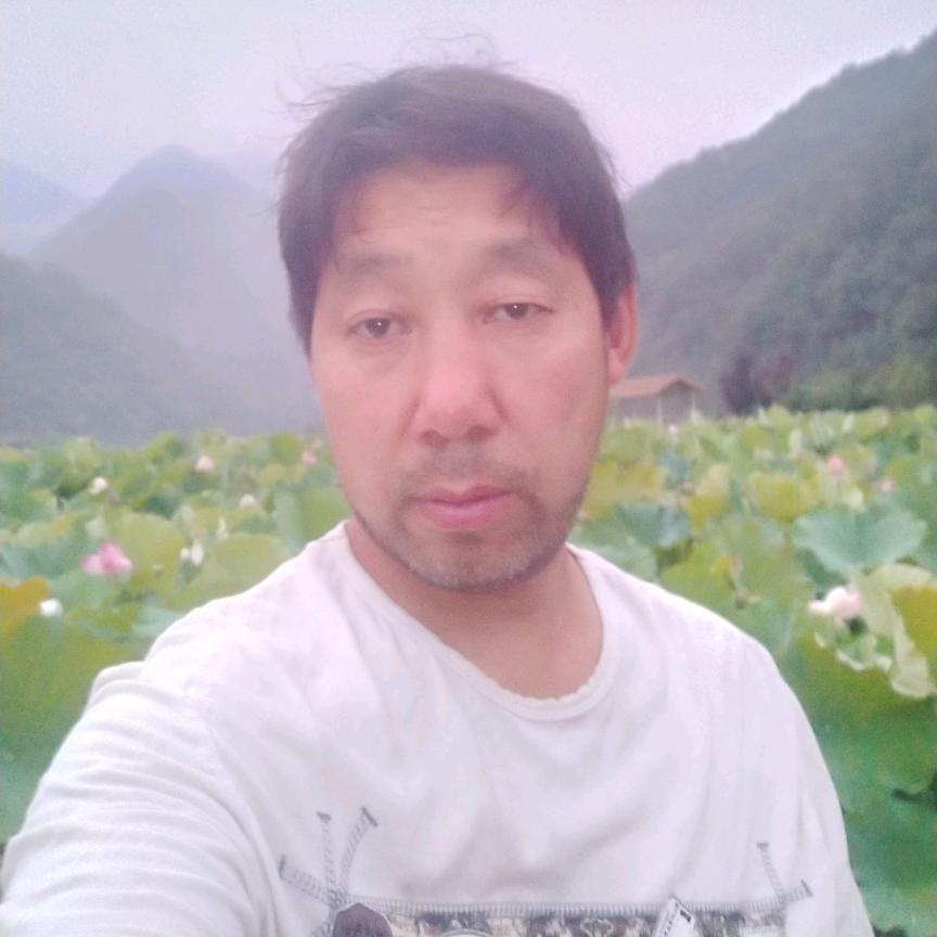 栾川酸枣晚七点半