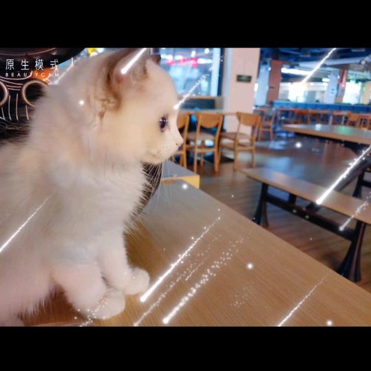 悠米公主吃衡阳