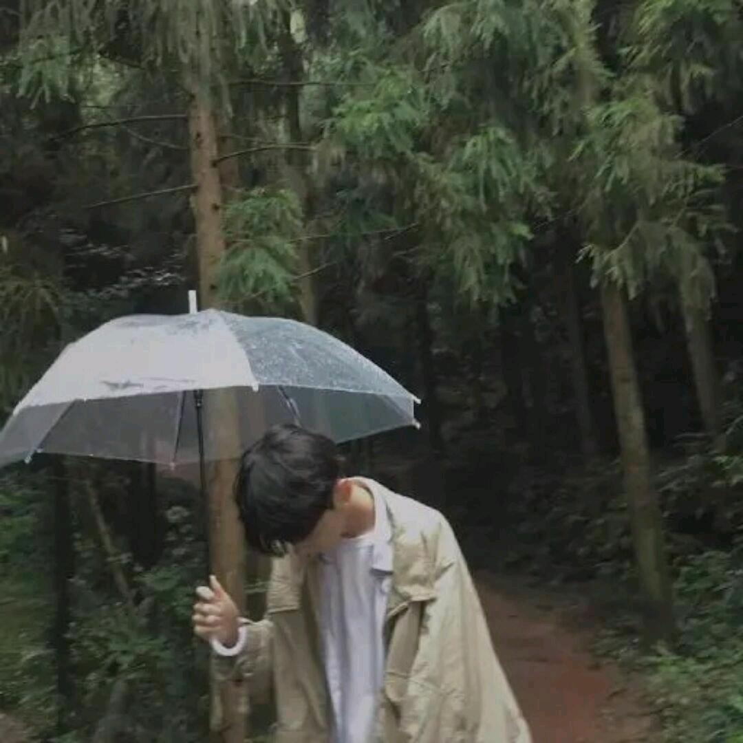 艺旋