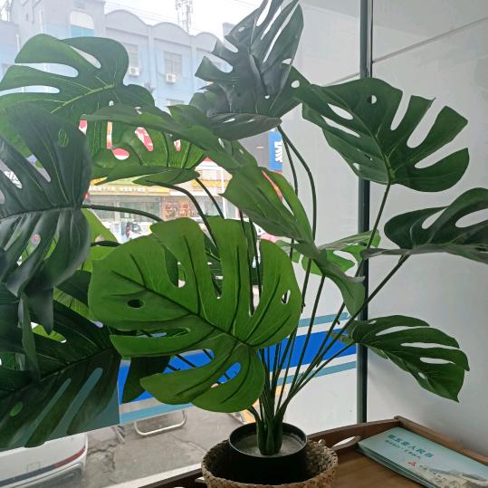 我我