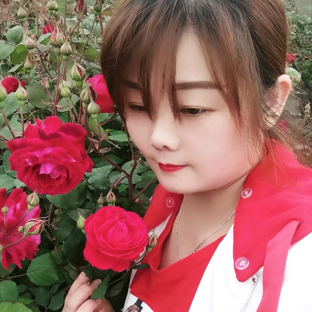 🦋꧁💞燕子💞᪲꧂🦋