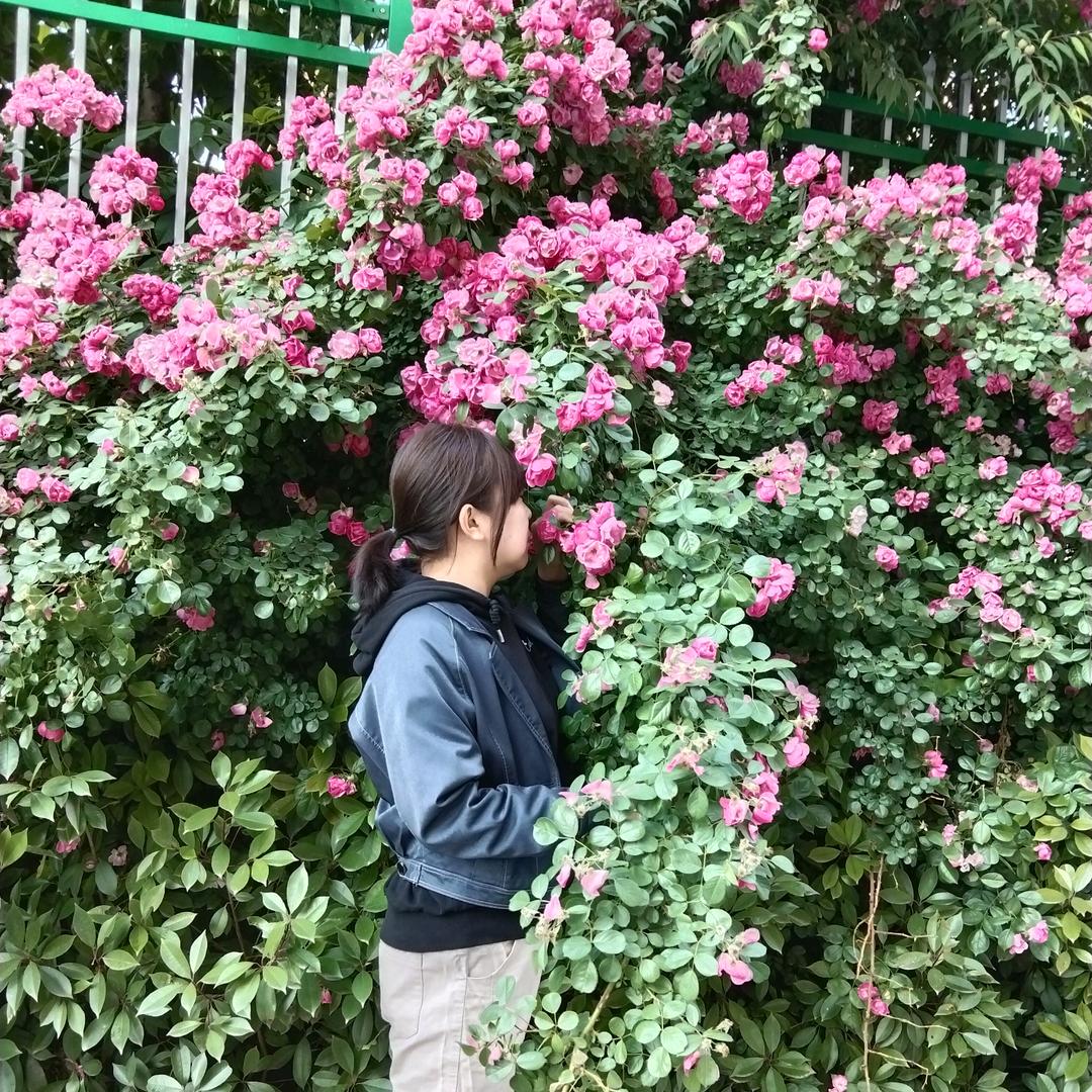 CoCo也想喝奶茶