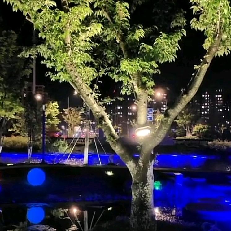 家有两个小可爱