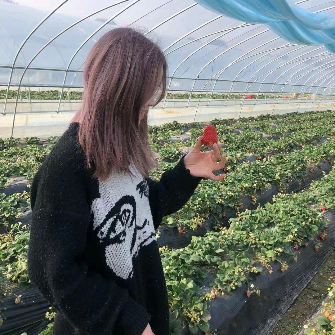 吐司泡泡.