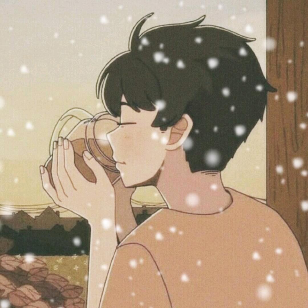 醉芙蓉