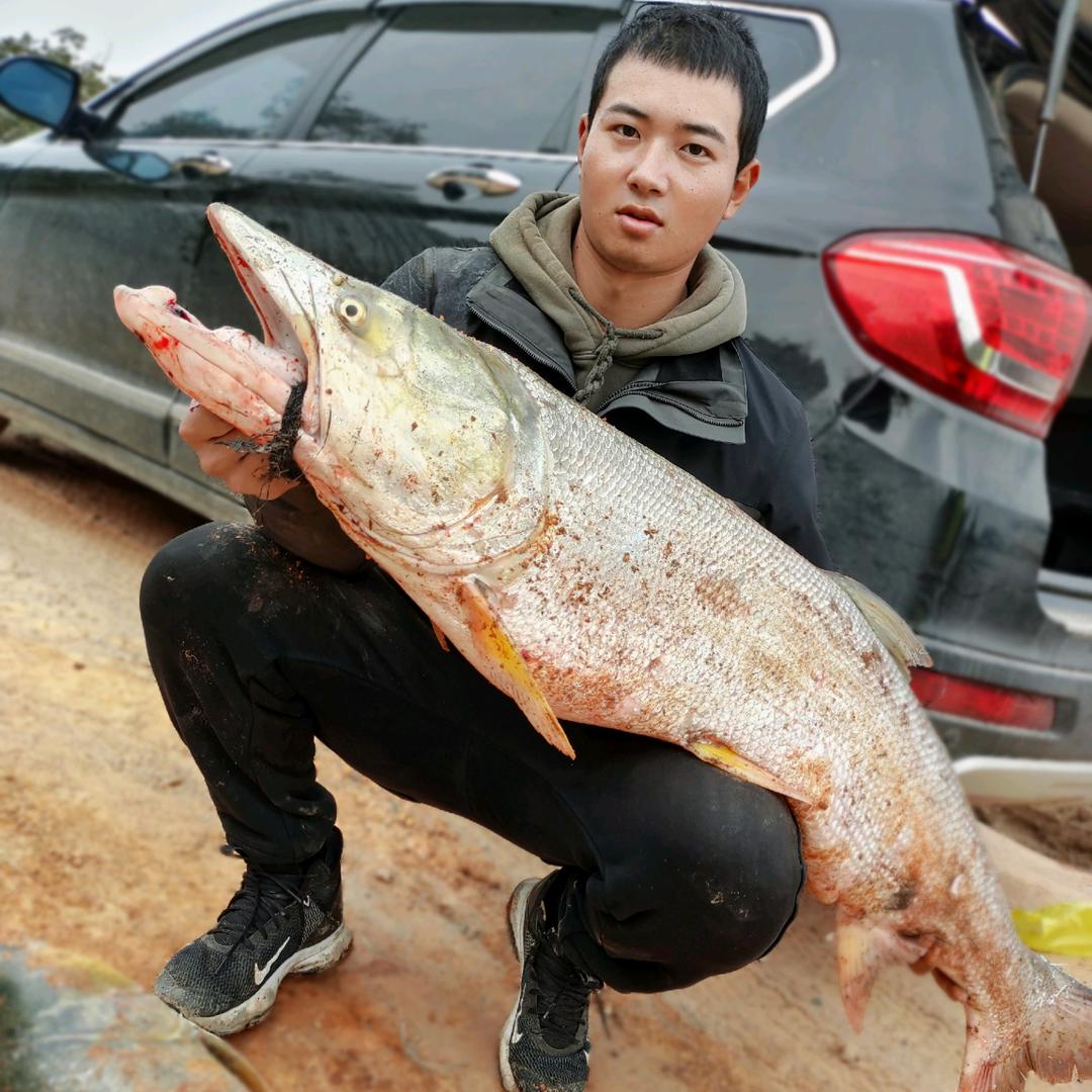 王大胆路亚