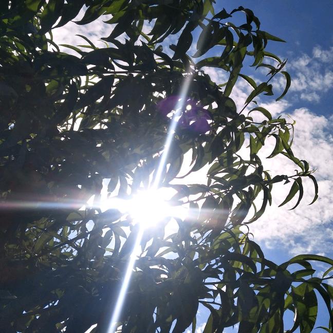 夜空中最亮的星