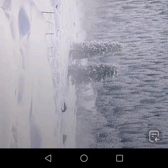 80后牛马
