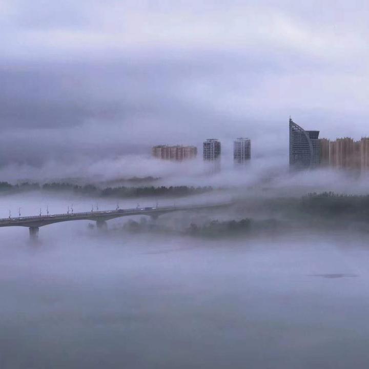 酒醉的蝴蝶