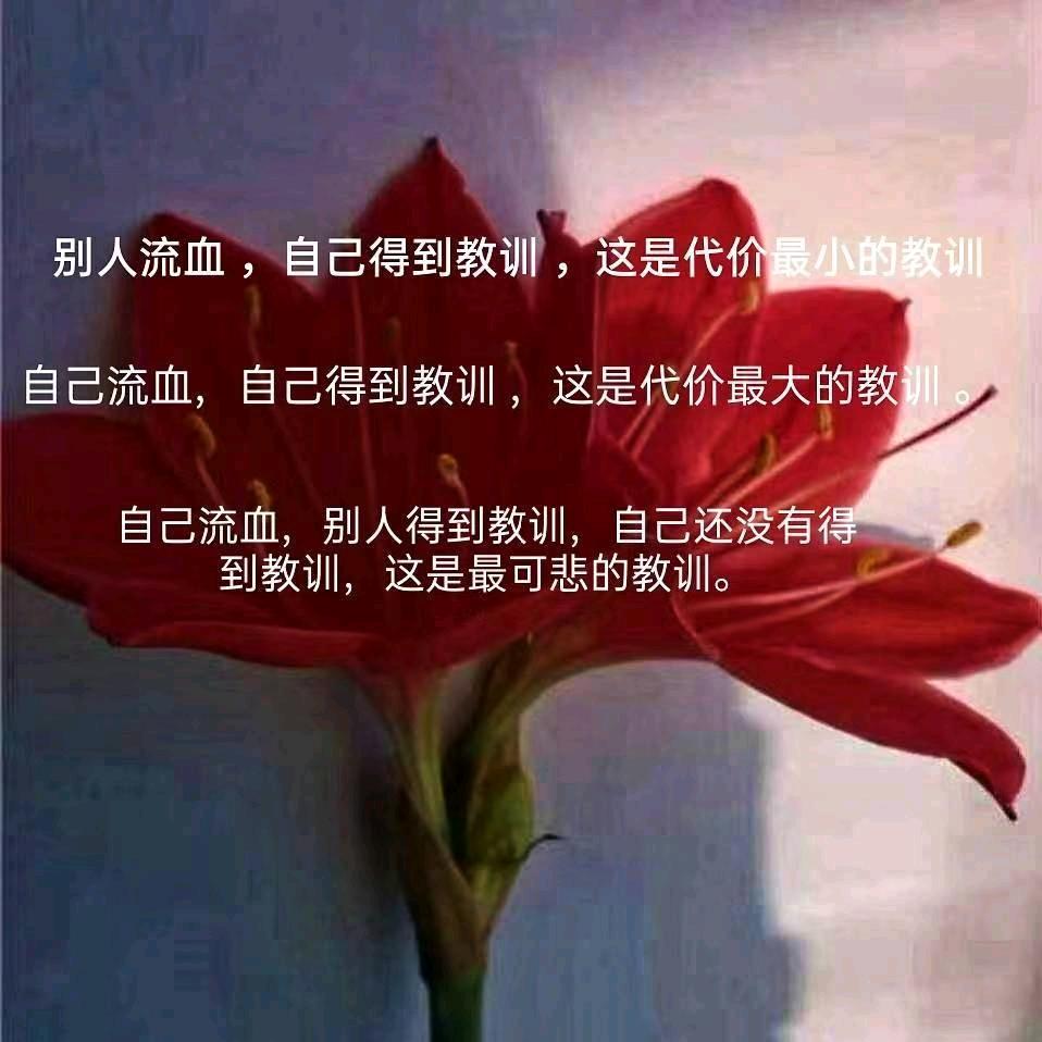 你好•