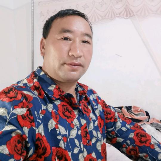 A凤凰知音
