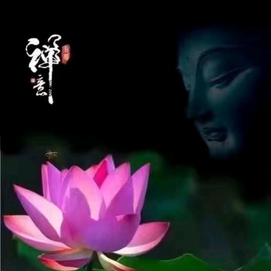 平安喜乐3383