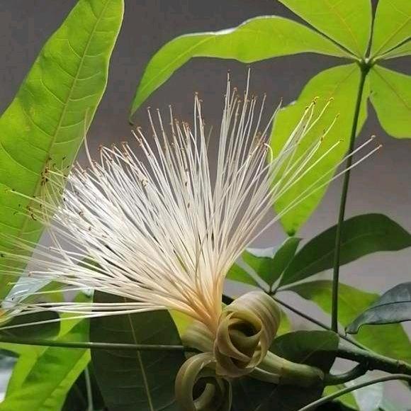 贵阳市花溪区吉林幼儿园