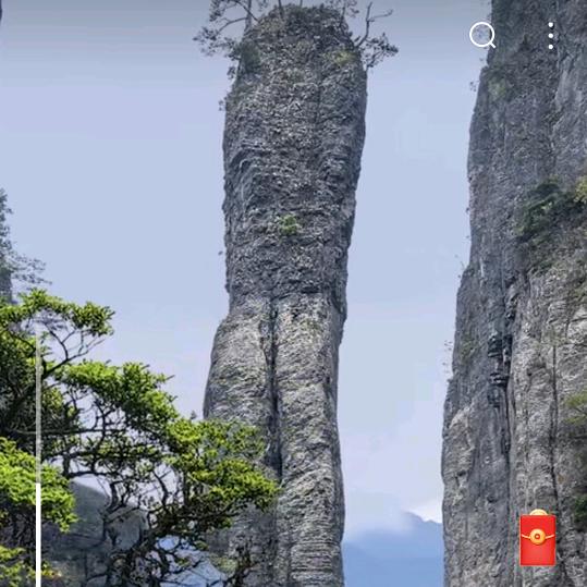泊成【上海喜果环保装饰】