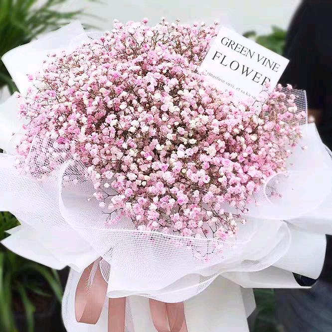 倩儿～～大头龙虾