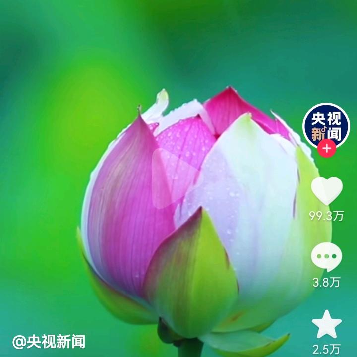 甜甜奶奶
