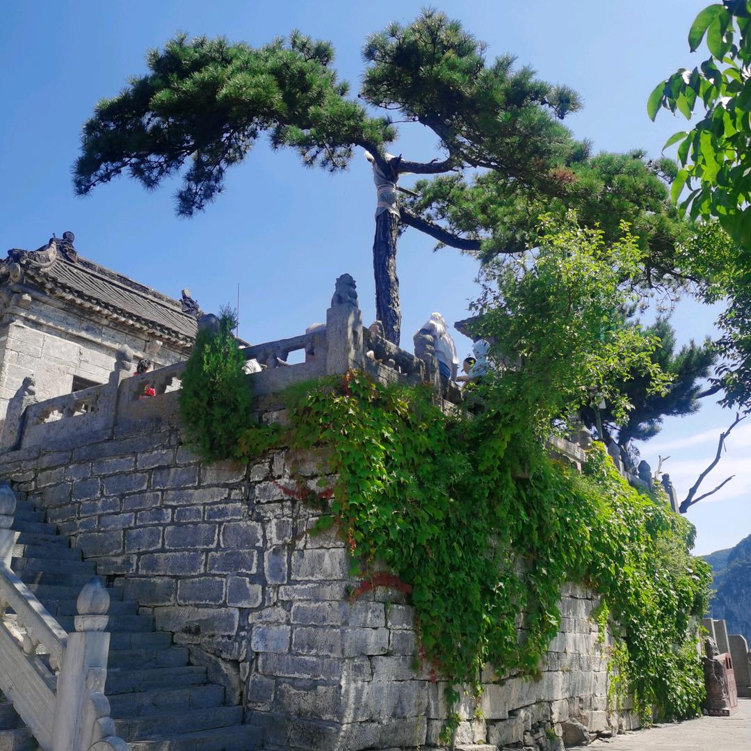山抹微云