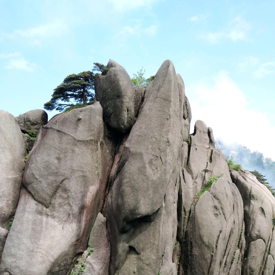 魔兽—釁