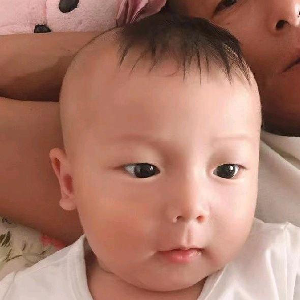 樊要飞翔