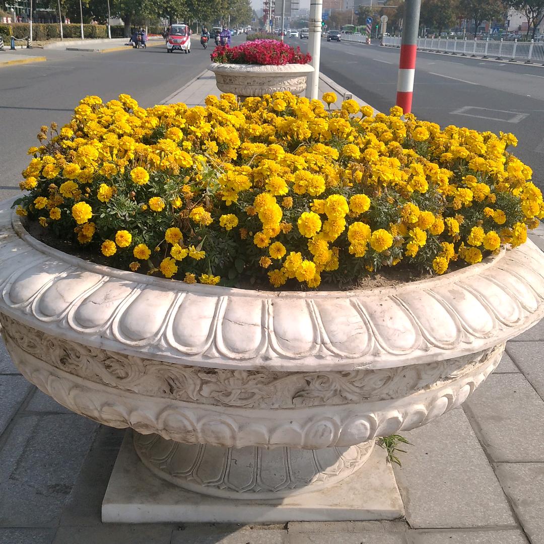 周占林