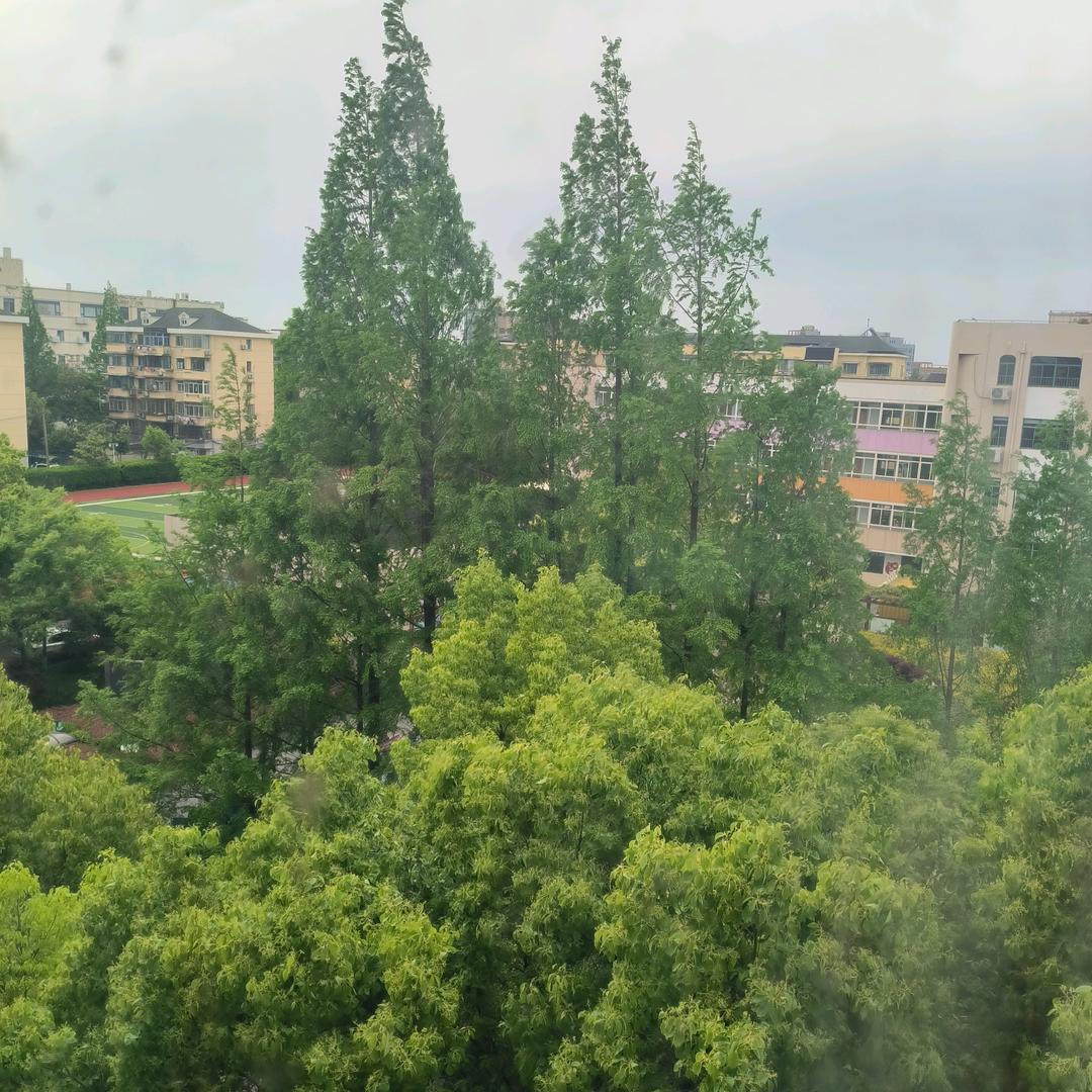 美好生活的象征