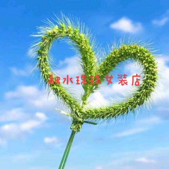 融水县融水镇珠珠女装店