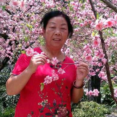 向阳花