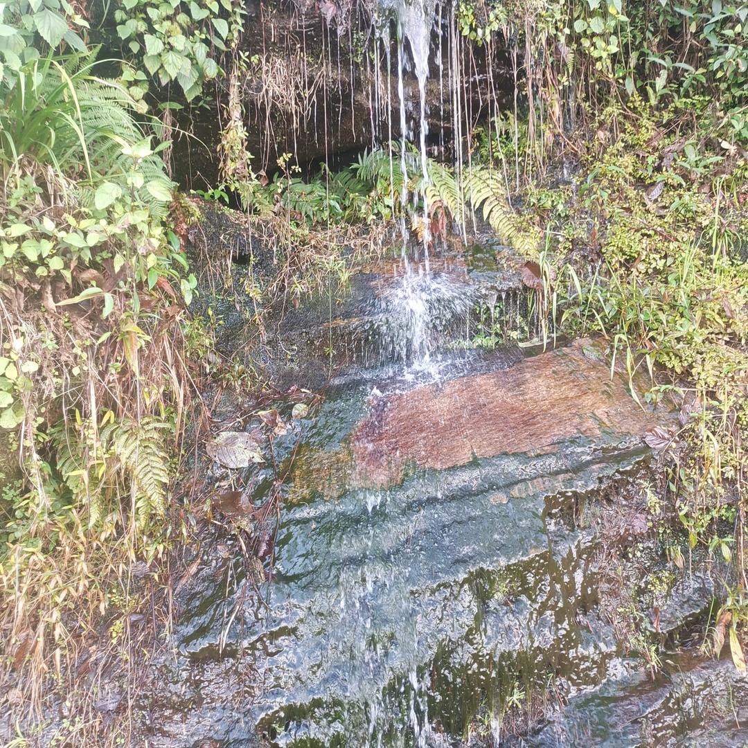 山雨