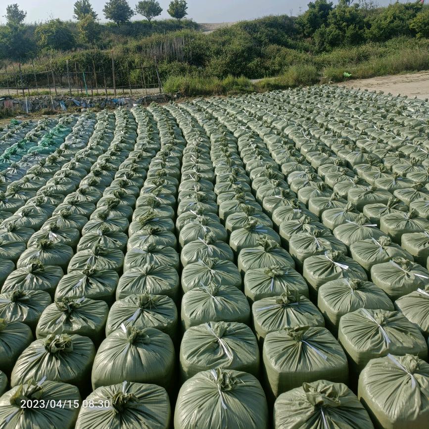丽姐::青贮直销头像