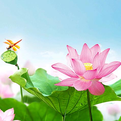 😘一生有你🥰相伴一生🥰