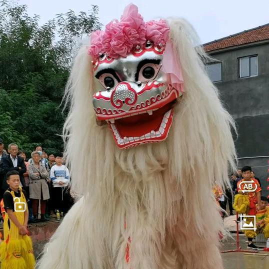 濮阳小白狮舞狮团