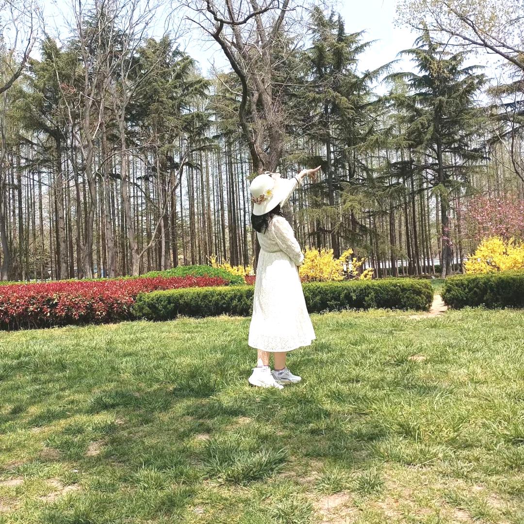 妙锦