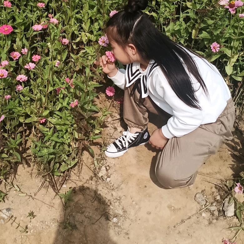 晨晨