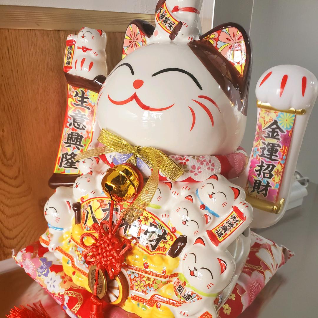 朋朋