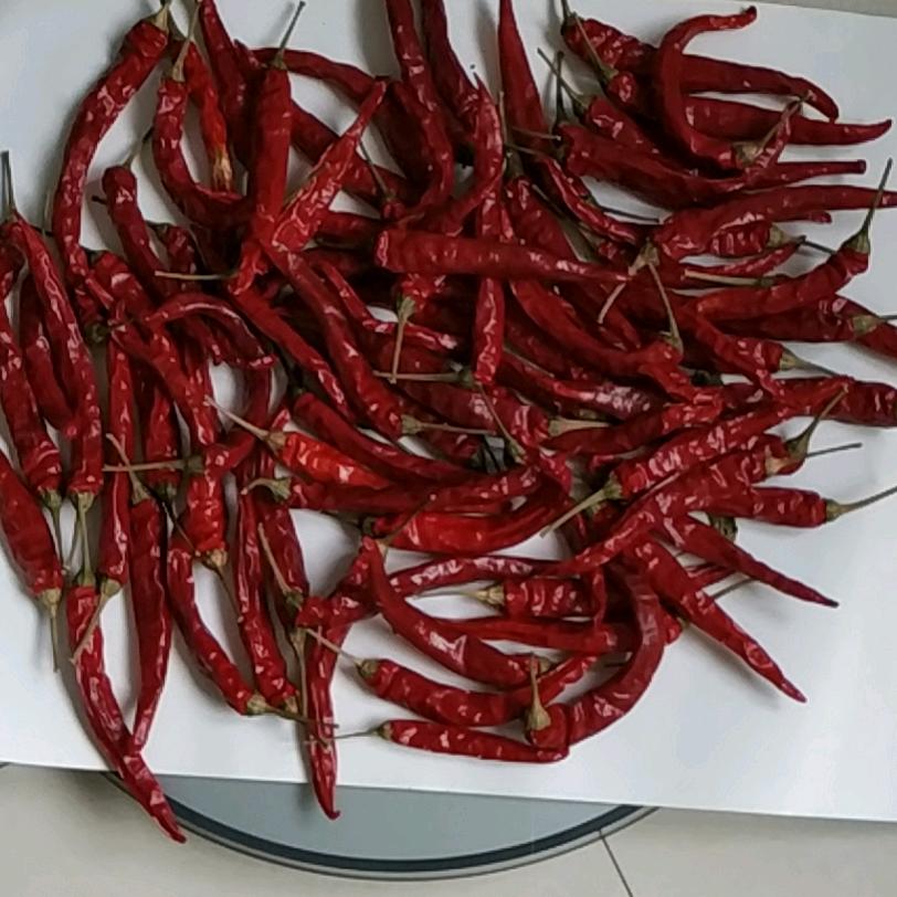 梅兰竹菊👌
