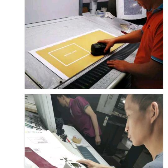 独在异乡为异客