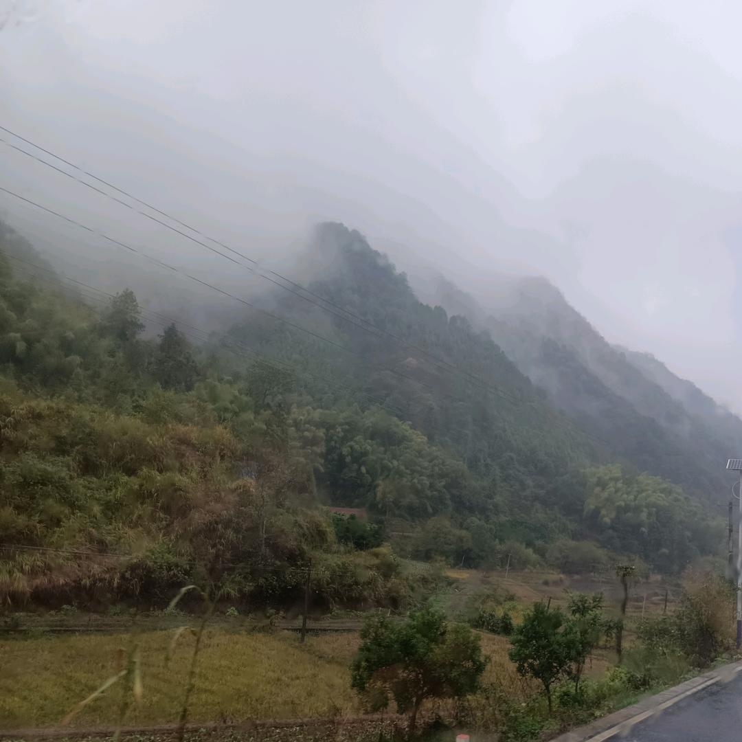 大鑫