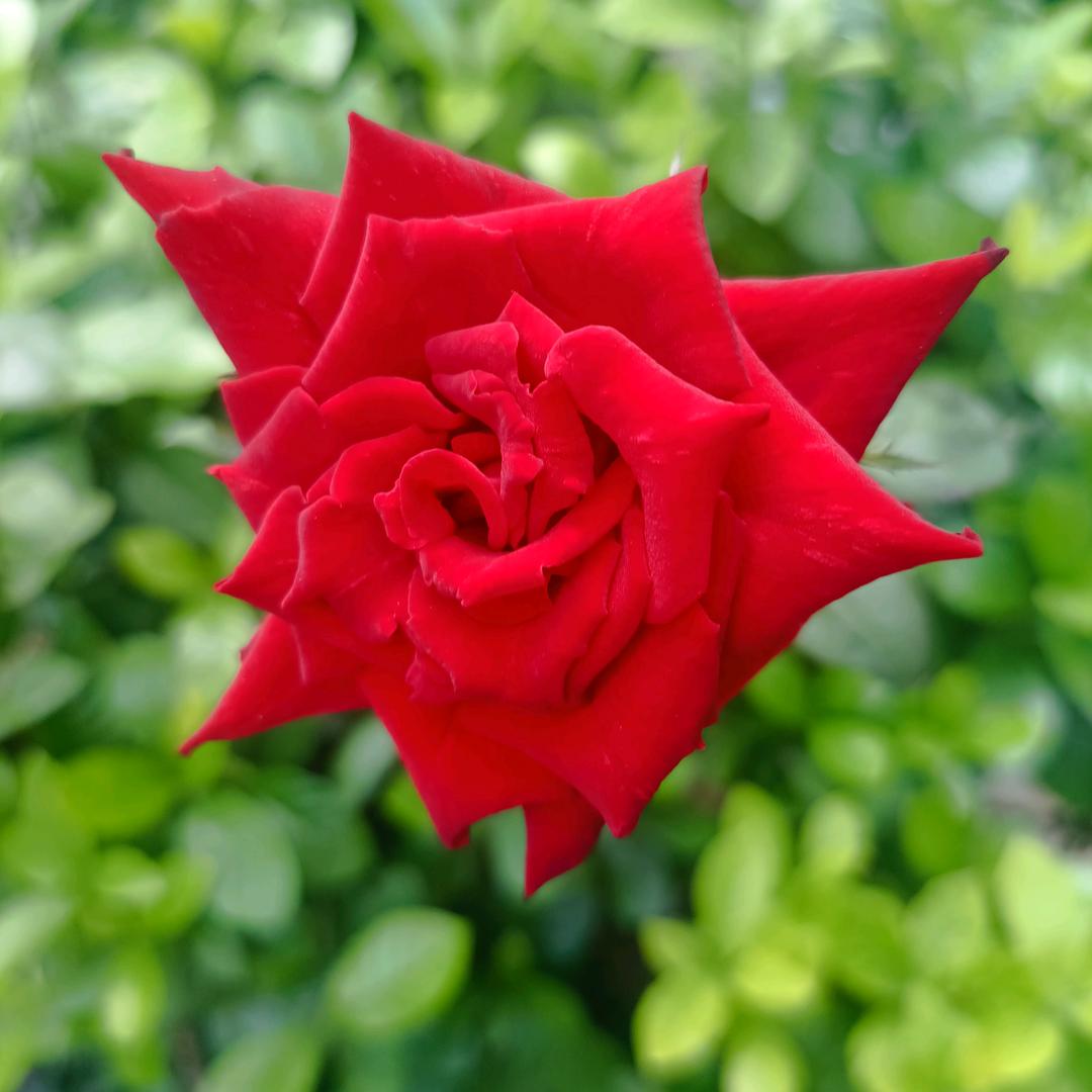 满满珍珍的回忆🍁