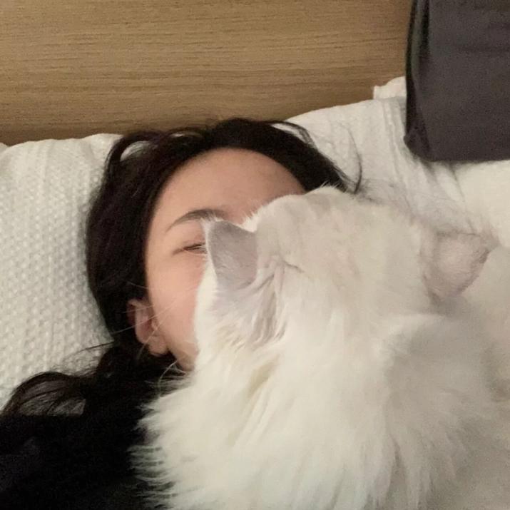 睡不着的泡泡糖：💤