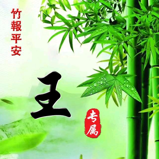 随缘 朝
