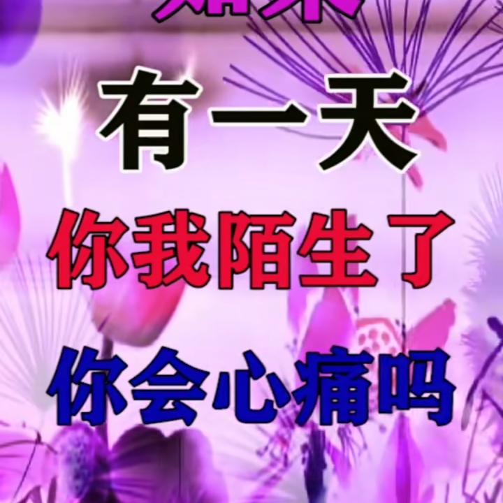 浪子天涯