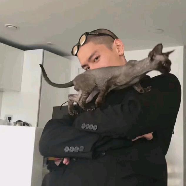 迭戈.