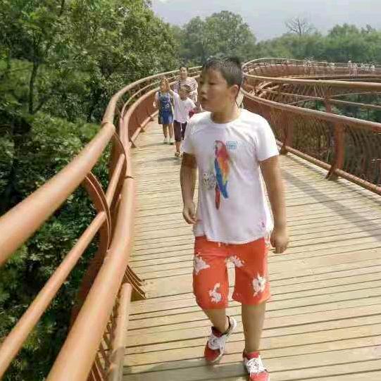 七色彩红