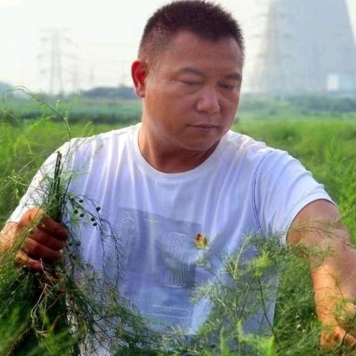 兵辉哥农场