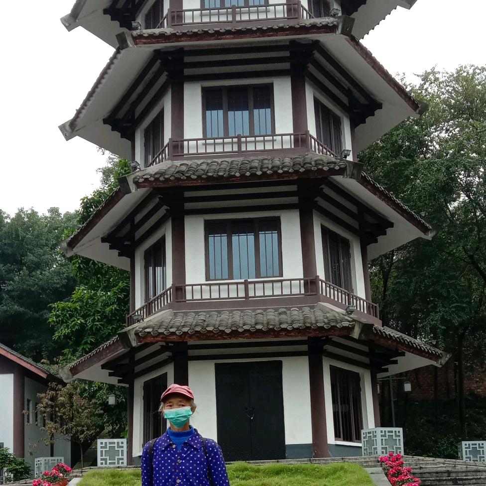 自由生活