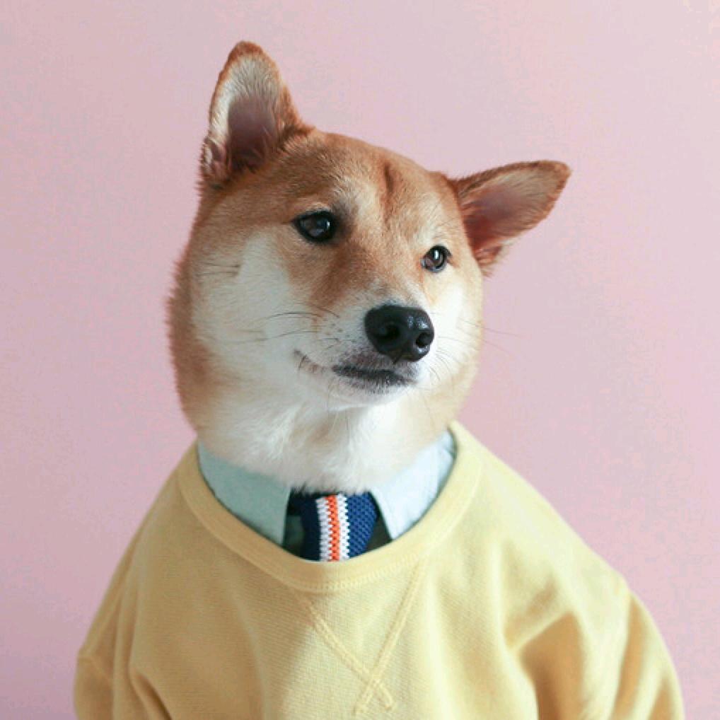 假笑.